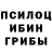 Галлюциногенные грибы Psilocybine cubensis Diller061 Fedosenko