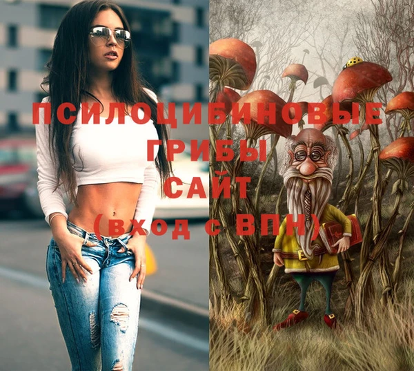дживик Алзамай