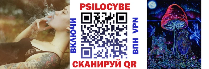 Псилоцибиновые грибы Psilocybe Краснообск